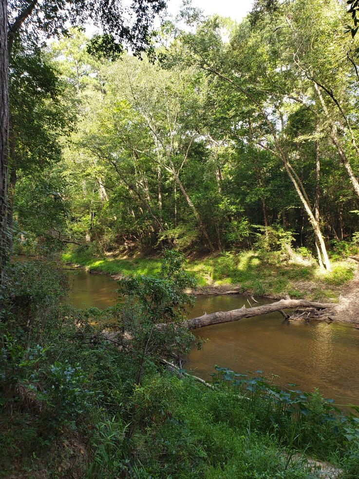 Creek Crossing Some creek crossings will be difficult. Embrace the challenge of this spiritual retreat.
